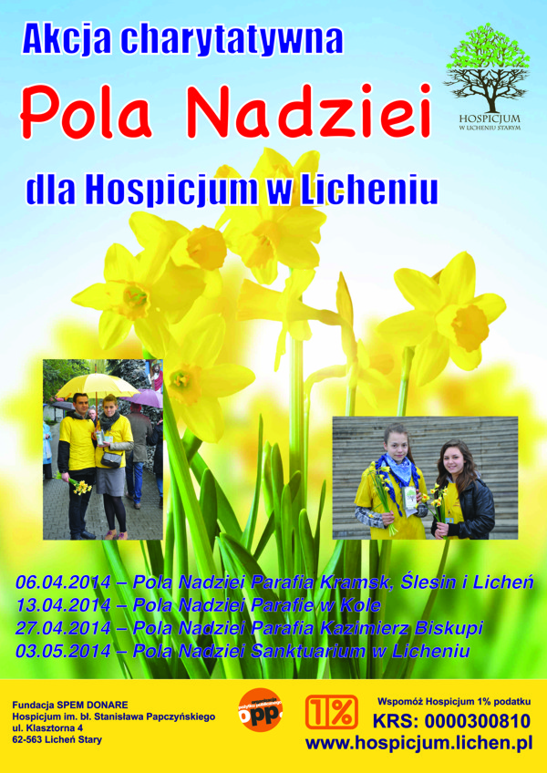 Żółte "Pola nadziei" licheńskiego hospicjum w Kole