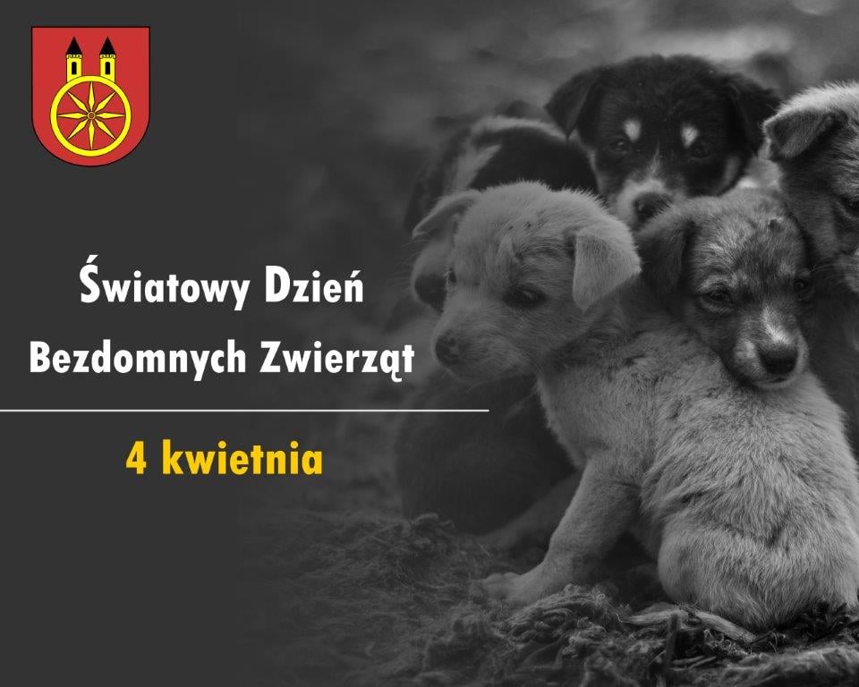 Plansza 4 kwietnia Światowy Dzień Zwierząt Bezdomnych, tekst pod planszą.