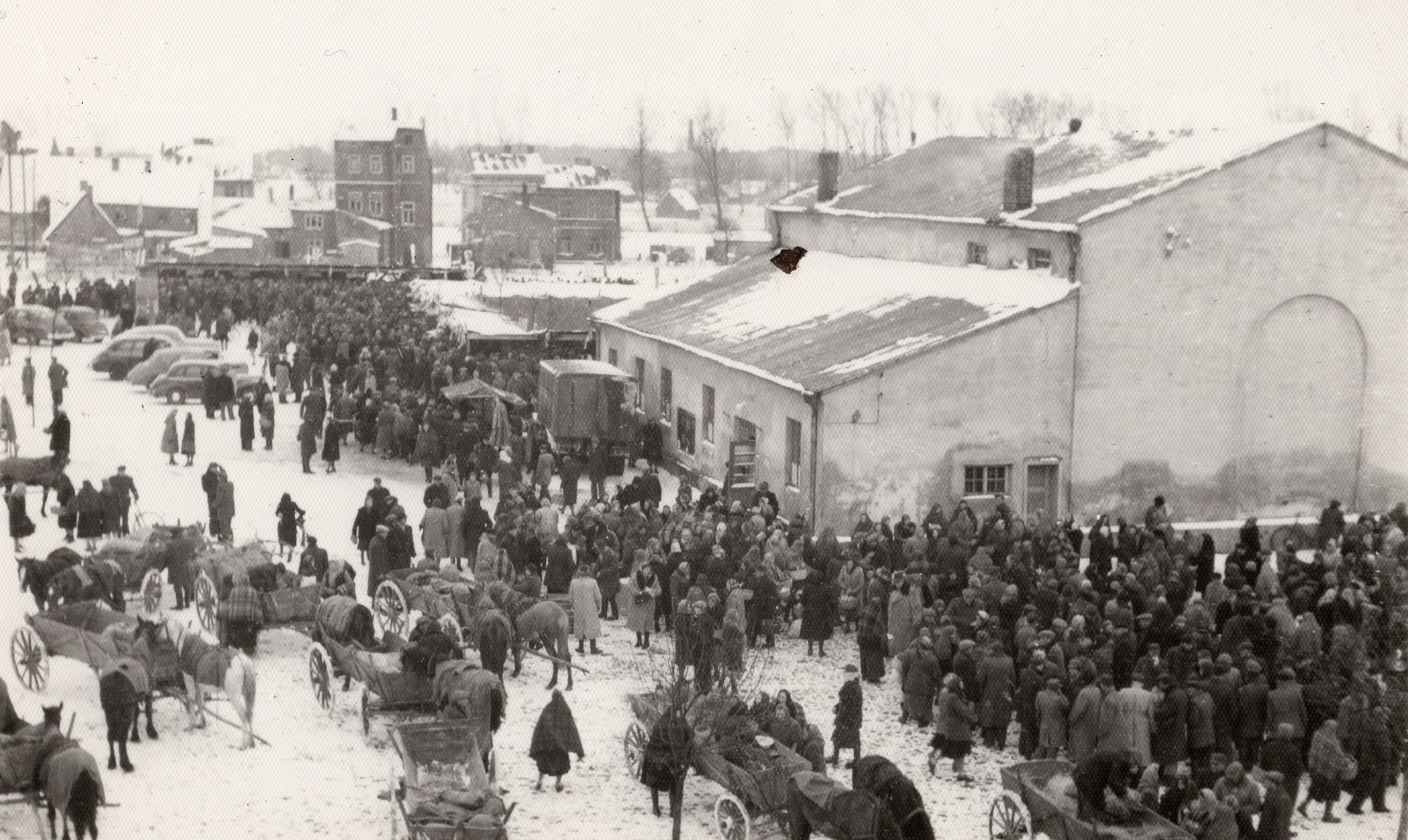 Archiwalne zdjęcie przedstawia zimową scenę z targowiska w Kole. Na fotografii widać zgromadzonych ludzi. Wiele osób jest ubranych w grube płaszcze, a ziemia pokryta jest śniegiem. Widać stare zaprzęgi konne z wozami, w tle budynki i samochody.