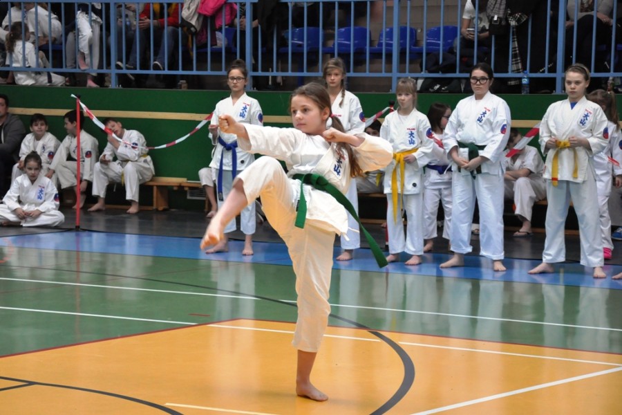 XIV Mistrzostwa Wielkopolski Oyama Karate w Kata