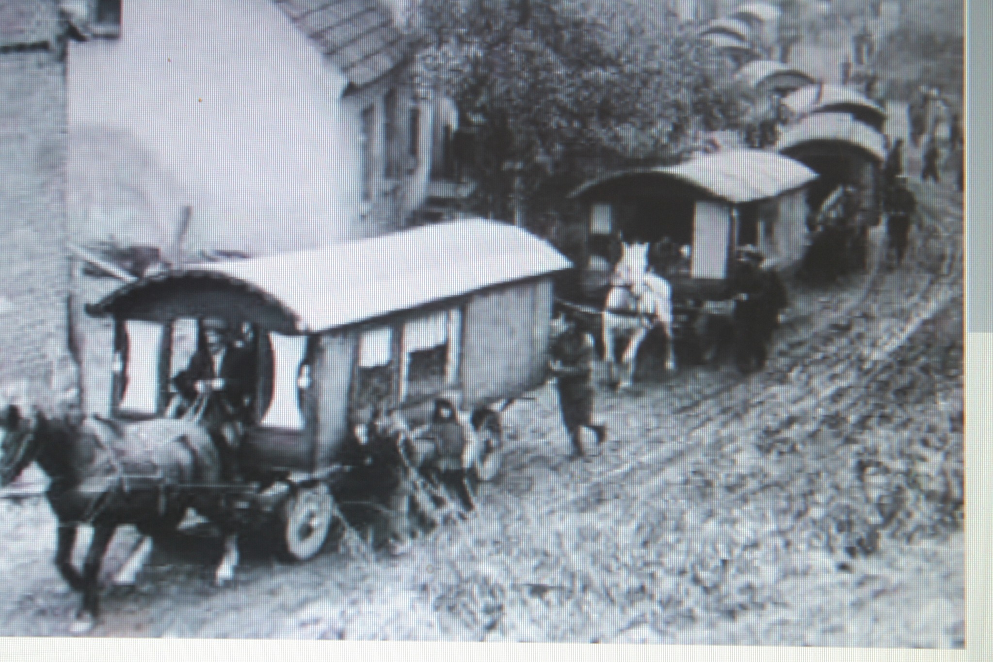 Tabor cygański w drodze, na zdjęciu z 1961 r. z Muzeum Etnograficznego w Tarnowie
