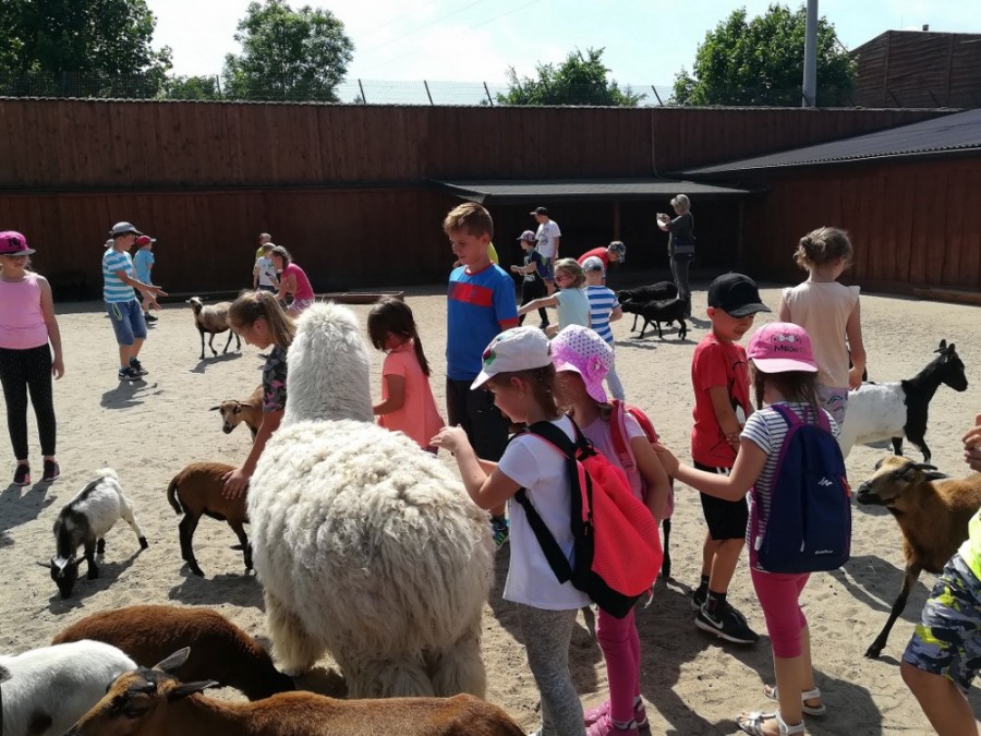 Przedszkolaki z PM 5 w Teatrze Arlekin i Zoo Safari