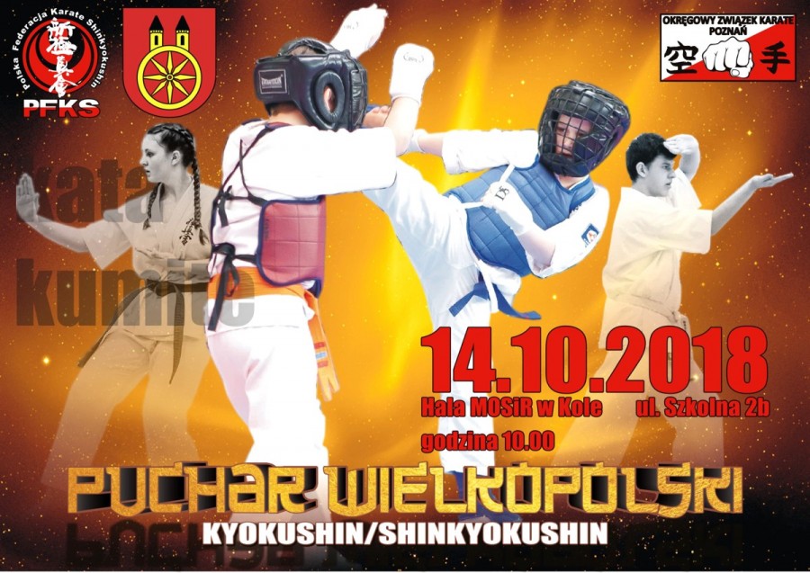 Puchar Wielkopolski Kyokushin/Shinkyokushin