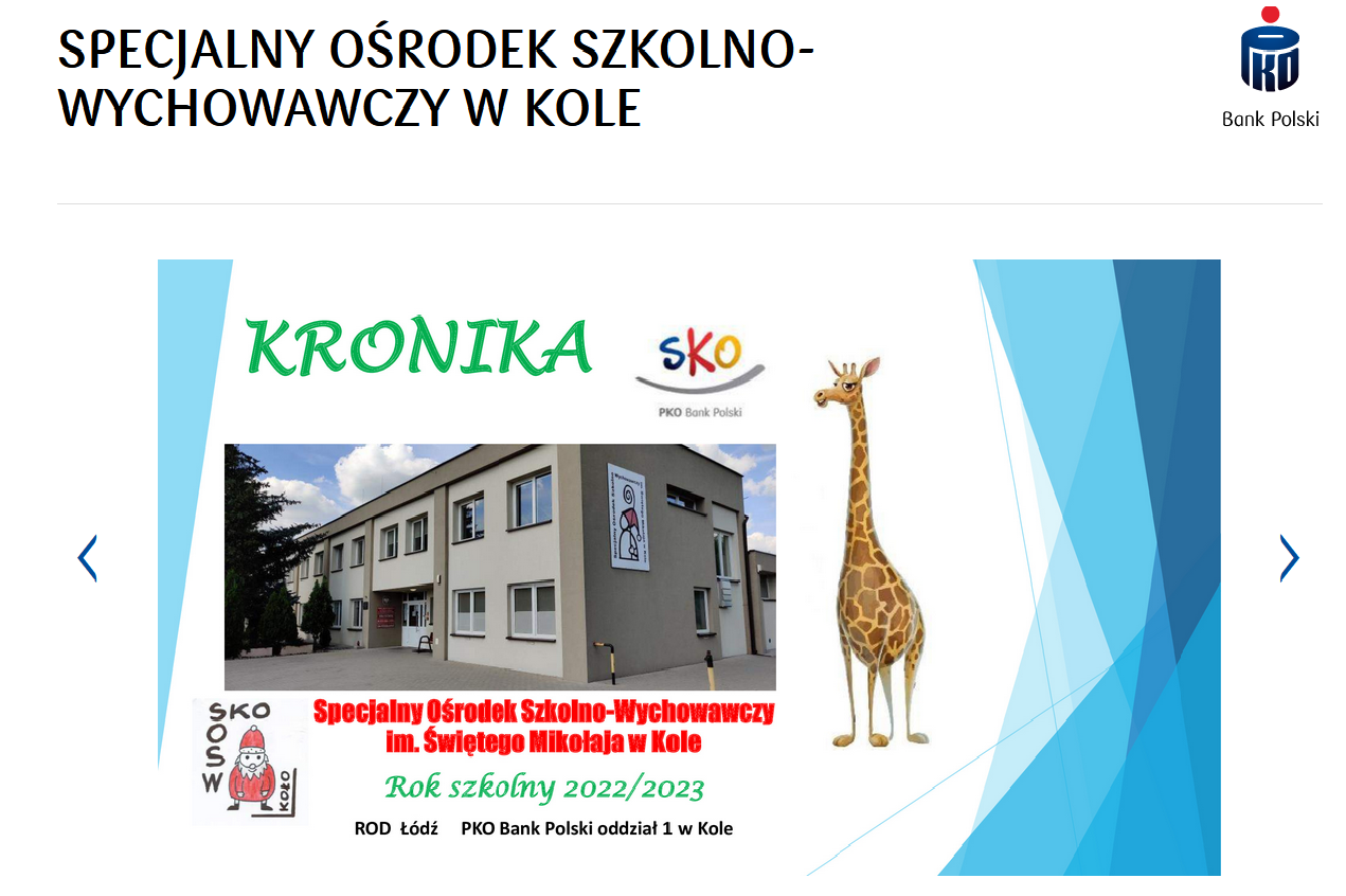 Print Screen ogólnopolskiej strony internetowej SKO