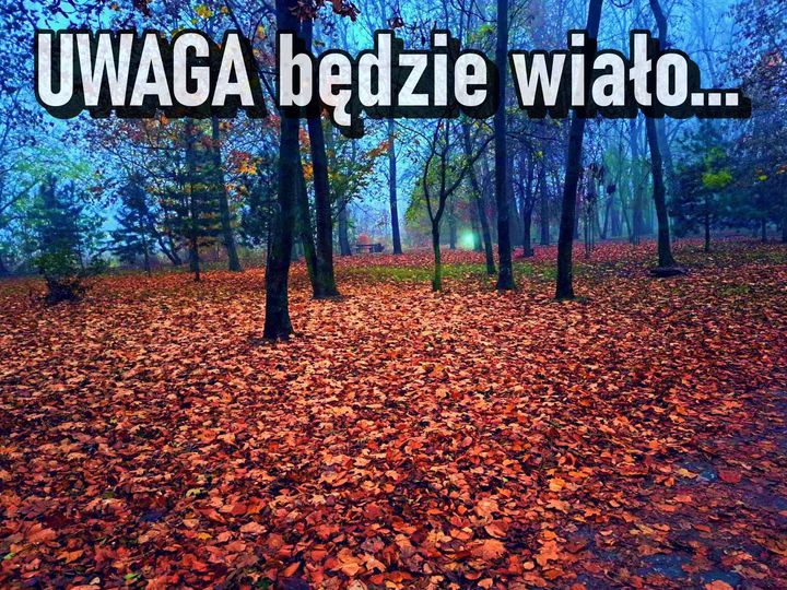 Zdjęcie parku, na pierwszym planie żółte liście na ziemi, w tle drzewa. U góry zdjęcia napis białymi literami UWAGA BĘDZIE WIAŁO