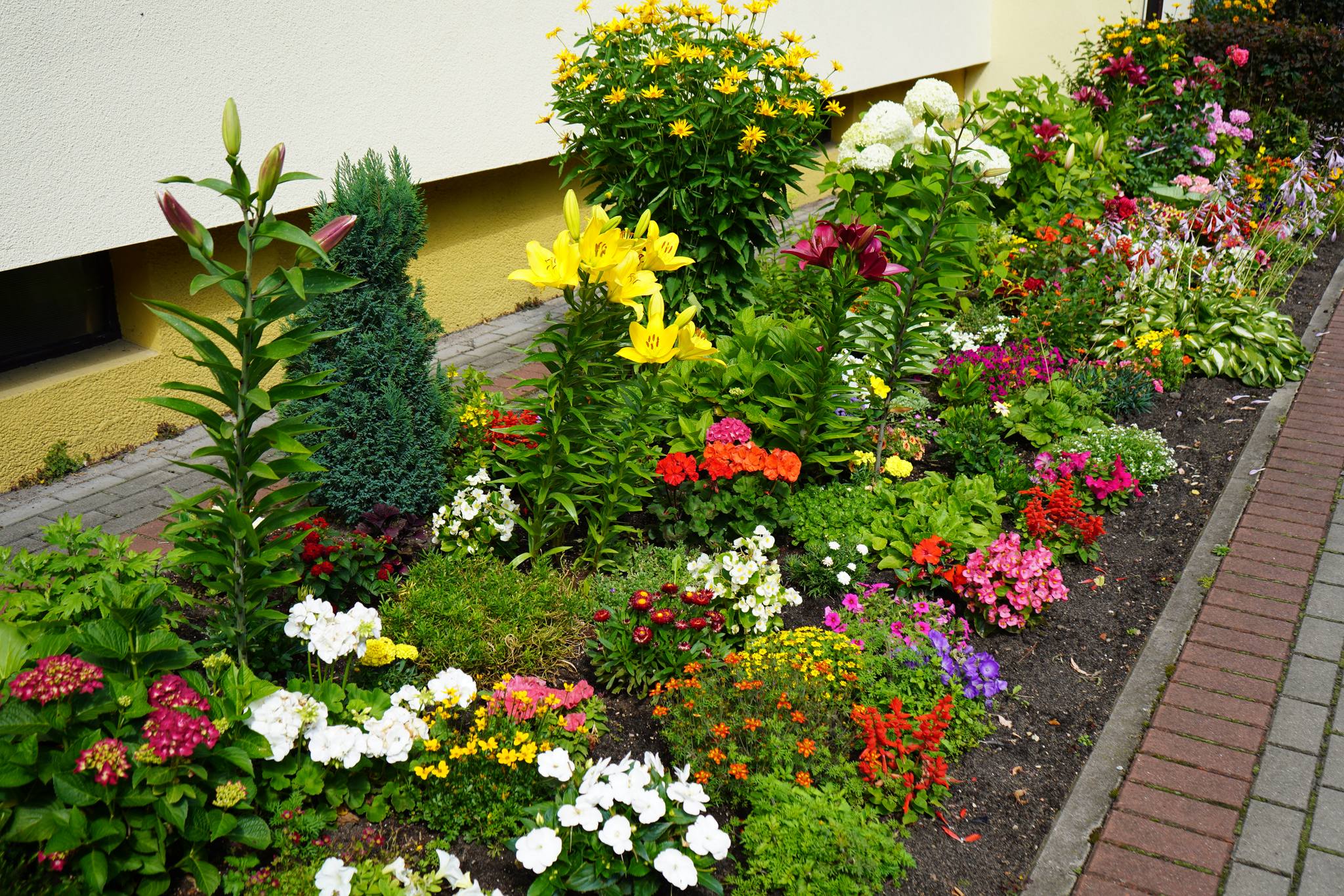 Zdjęcie przedstawia kolorowe kwiaty obok bloku mieszkalnego