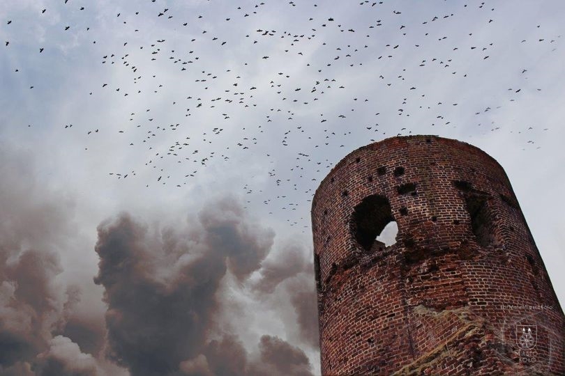 Wieża ruin zamku w Kole, w tle zachmurzone niebo z szybującymi ptakami