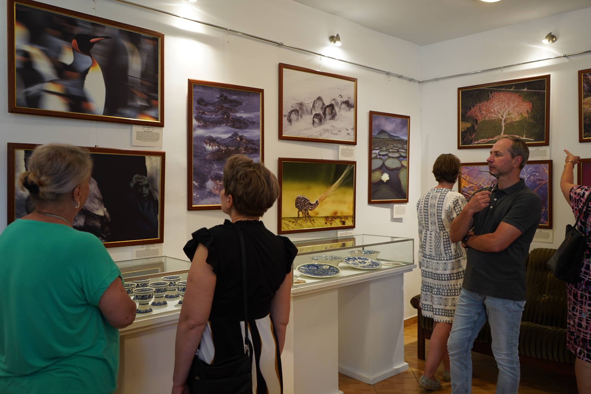 Zdjęcie przedstawia grupę ludzi oglądających wystawę w kolskim muzeum. Na ścianach wiszą różne obrazy, w większości przedstawiające naturę i zwierzęta, takie jak pingwin, ważka, rośliny wodne i krokodyle