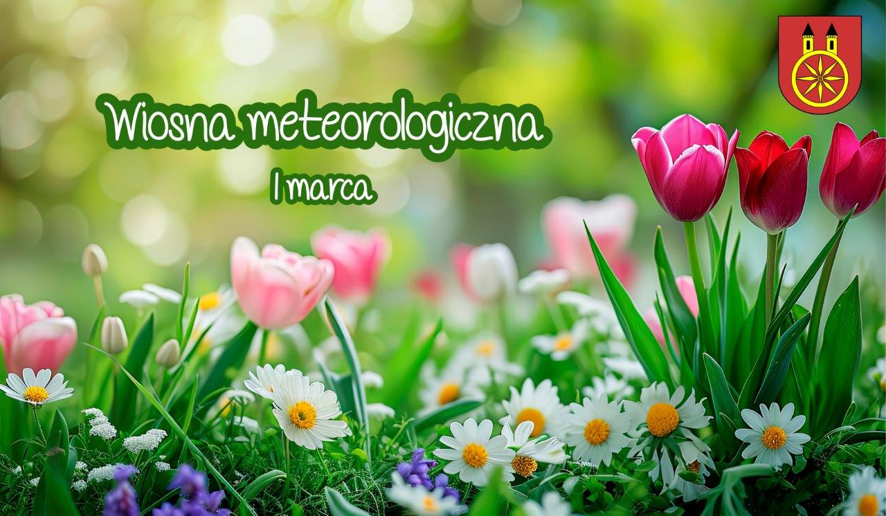 Plansza z napisem 1 marca wiosna meteorologiczna, herbem miasta Koła na tle kolorowych kwiatów 